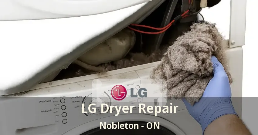 LG Dryer Repair Nobleton - ON