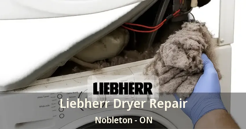 Liebherr Dryer Repair Nobleton - ON