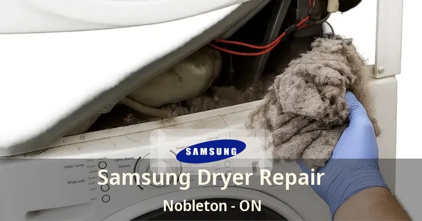 Samsung Dryer Repair Nobleton - ON
