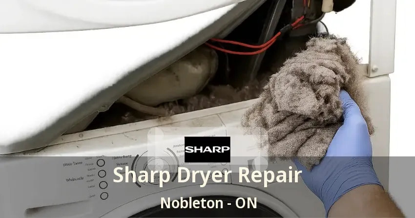 Sharp Dryer Repair Nobleton - ON