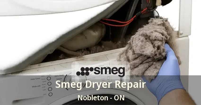 Smeg Dryer Repair Nobleton - ON