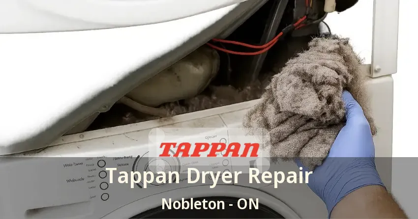 Tappan Dryer Repair Nobleton - ON