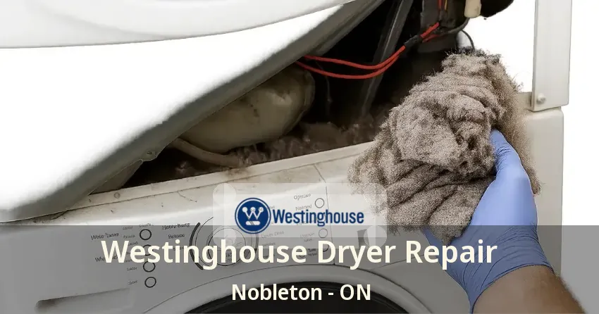 Westinghouse Dryer Repair Nobleton - ON