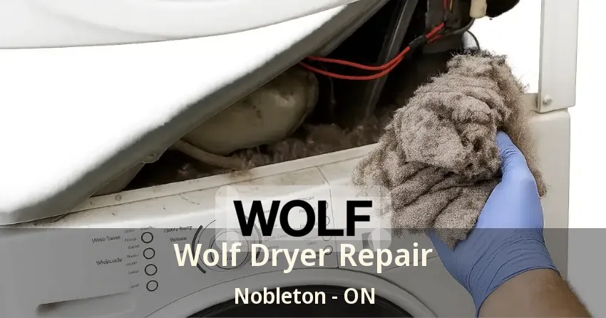 Wolf Dryer Repair Nobleton - ON
