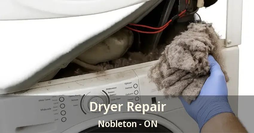 Dryer Repair Nobleton - ON