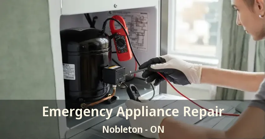 Emergency Appliance Repair Nobleton - ON
