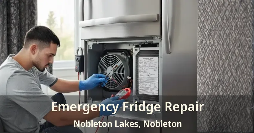 Emergency Fridge Repair Nobleton Lakes, Nobleton - ON
