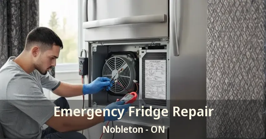 Emergency Fridge Repair Nobleton - ON