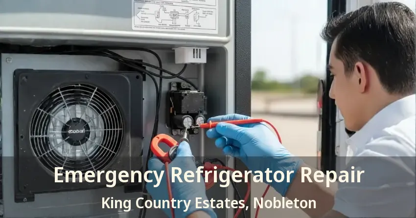 Emergency Refrigerator Repair King Country Estates, Nobleton - ON