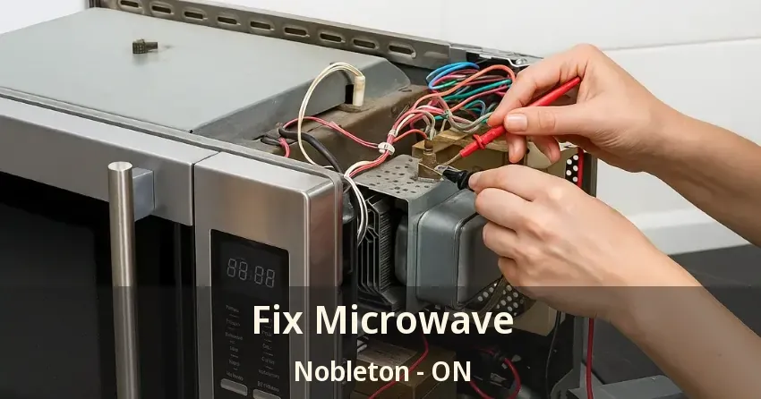 Fix Microwave Nobleton - ON