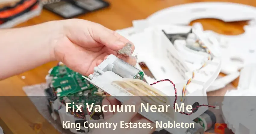 Fix Vacuum Near Me King Country Estates, Nobleton - ON