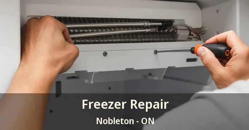 Freezer Repair Nobleton - ON