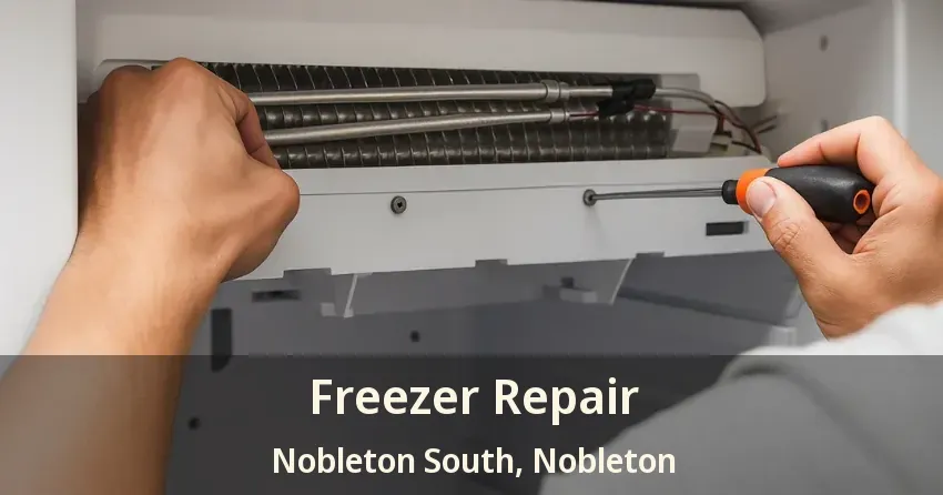 Freezer Repair Nobleton South, Nobleton - ON