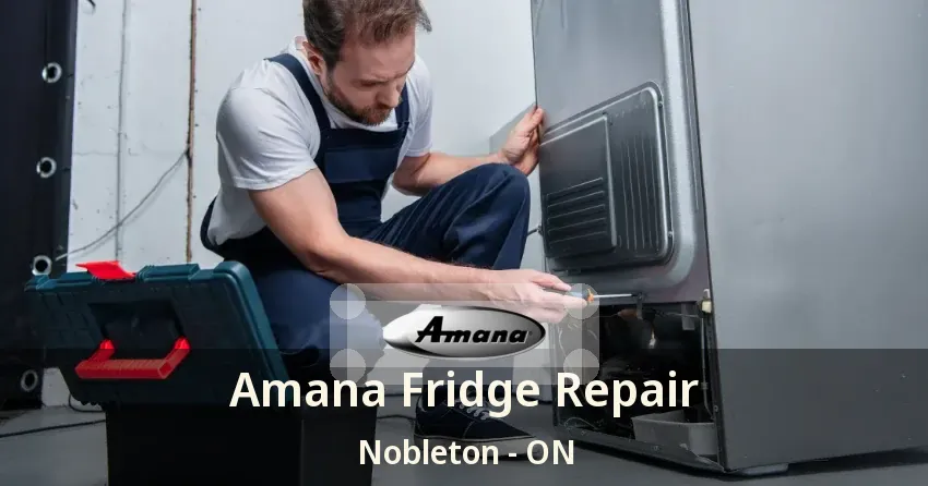 Amana Fridge Repair Nobleton - ON