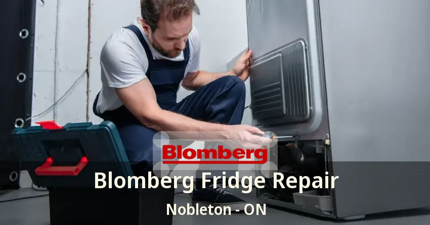 Blomberg Fridge Repair Nobleton - ON