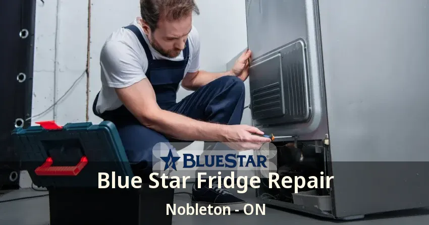 Blue Star Fridge Repair Nobleton - ON
