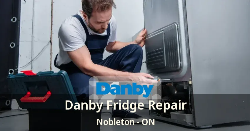 Danby Fridge Repair Nobleton - ON
