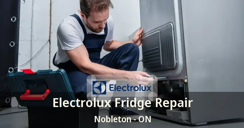 Electrolux Fridge Repair Nobleton - ON