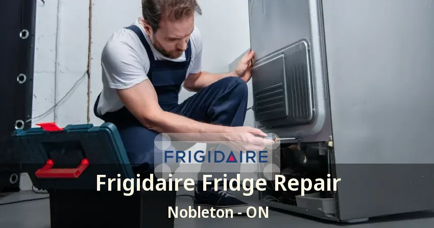 Frigidaire Fridge Repair Nobleton - ON