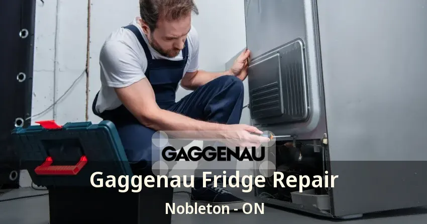 Gaggenau Fridge Repair Nobleton - ON