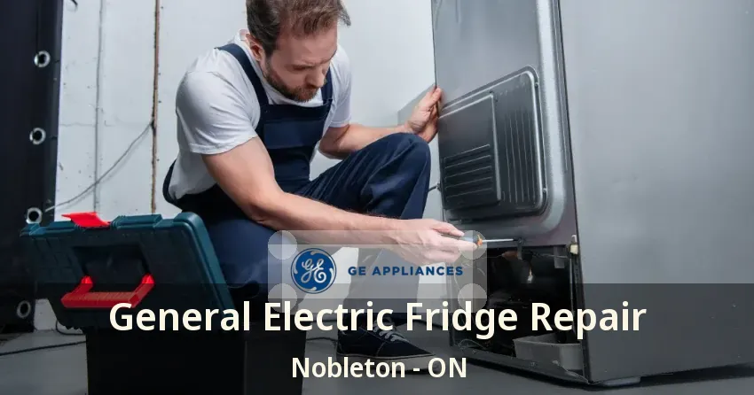 General Electric Fridge Repair Nobleton - ON
