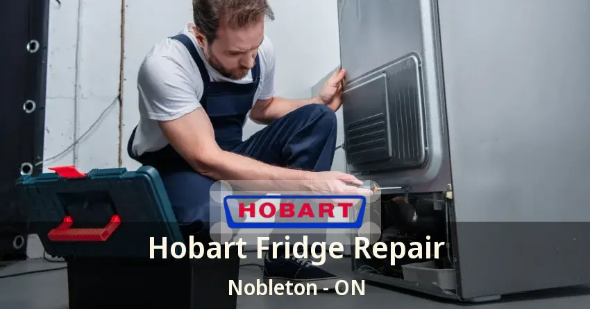 Hobart Fridge Repair Nobleton - ON
