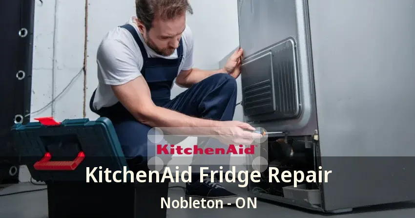 KitchenAid Fridge Repair Nobleton - ON