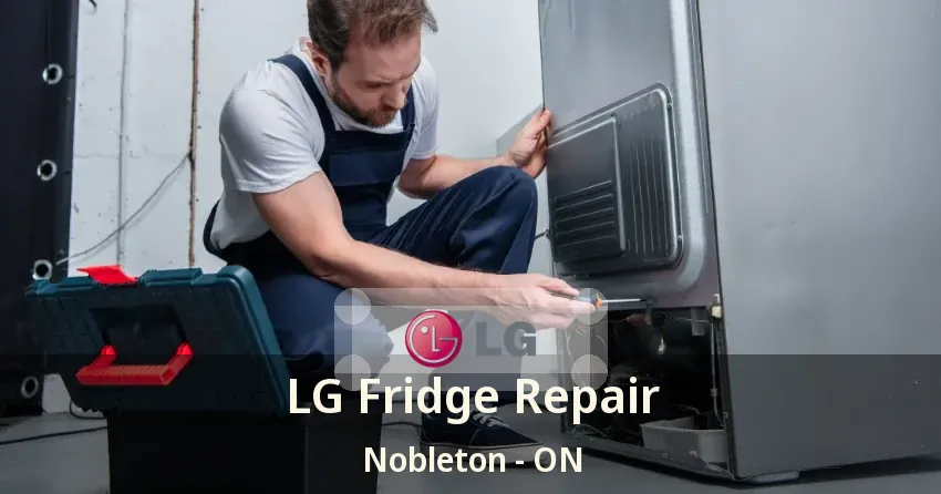 LG Fridge Repair Nobleton - ON