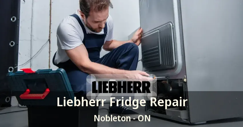 Liebherr Fridge Repair Nobleton - ON