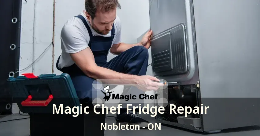 Magic Chef Fridge Repair Nobleton - ON