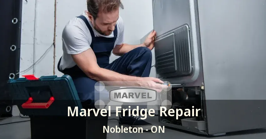 Marvel Fridge Repair Nobleton - ON