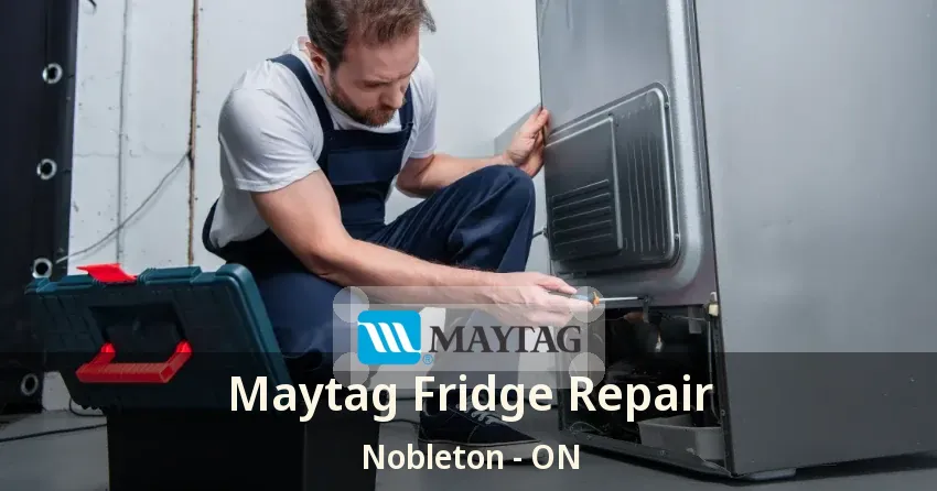 Maytag Fridge Repair Nobleton - ON