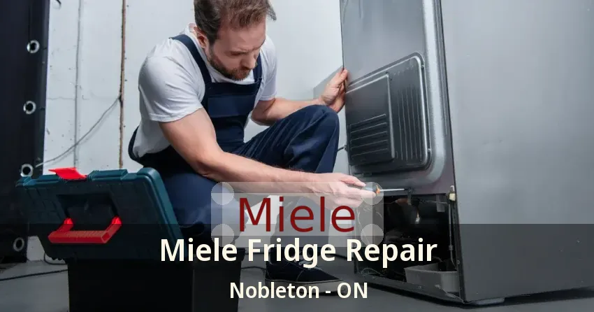 Miele Fridge Repair Nobleton - ON