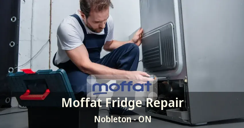 Moffat Fridge Repair Nobleton - ON
