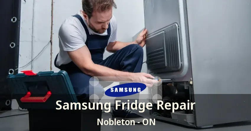 Samsung Fridge Repair Nobleton - ON