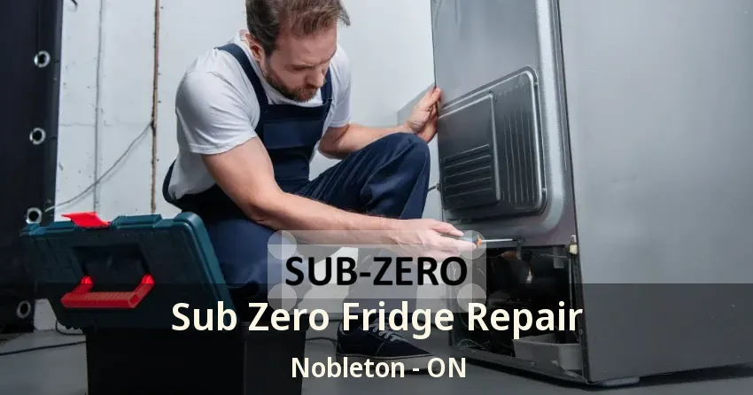 Sub Zero Fridge Repair Nobleton - ON