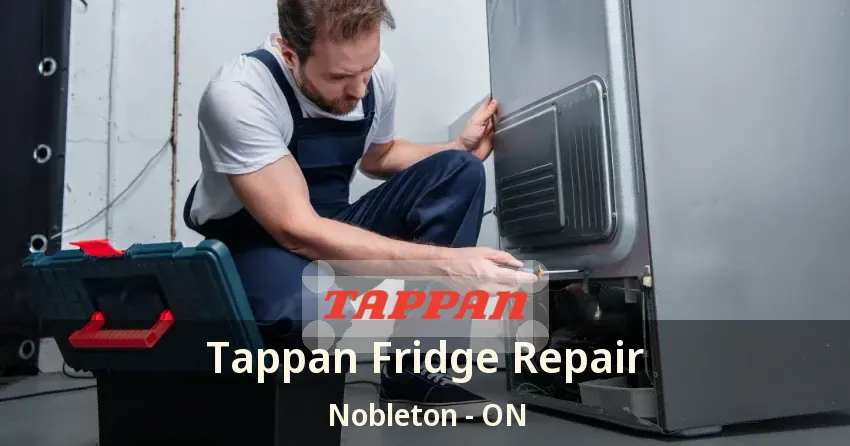 Tappan Fridge Repair Nobleton - ON