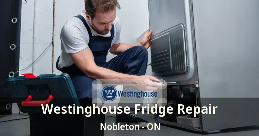 Westinghouse Fridge Repair Nobleton - ON