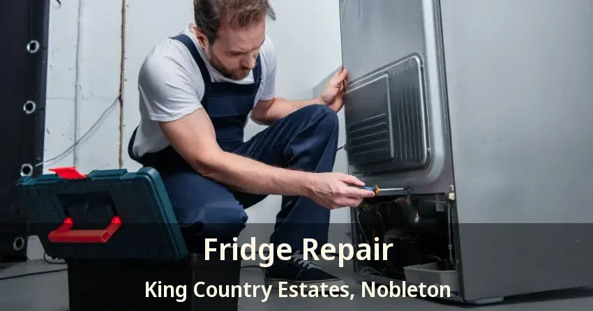 Fridge Repair King Country Estates, Nobleton - ON