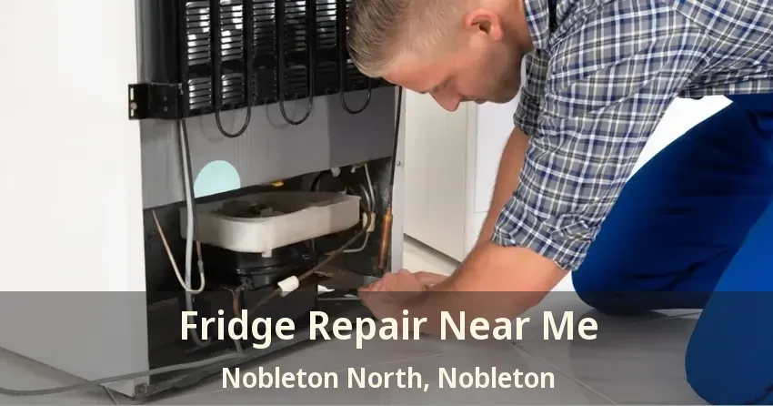 Fridge Repair Near Me Nobleton North, Nobleton - ON