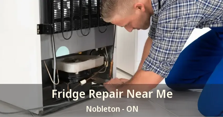 Fridge Repair Near Me Nobleton - ON