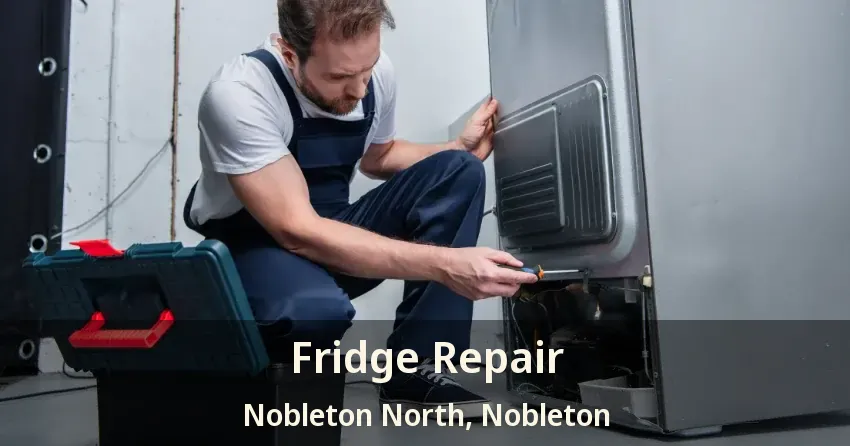 Fridge Repair Nobleton North, Nobleton - ON