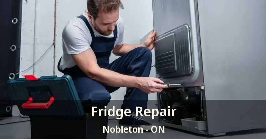 Fridge Repair Nobleton - ON