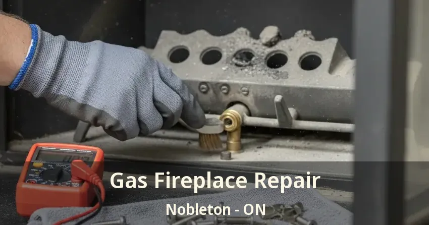 Gas Fireplace Repair Nobleton - ON