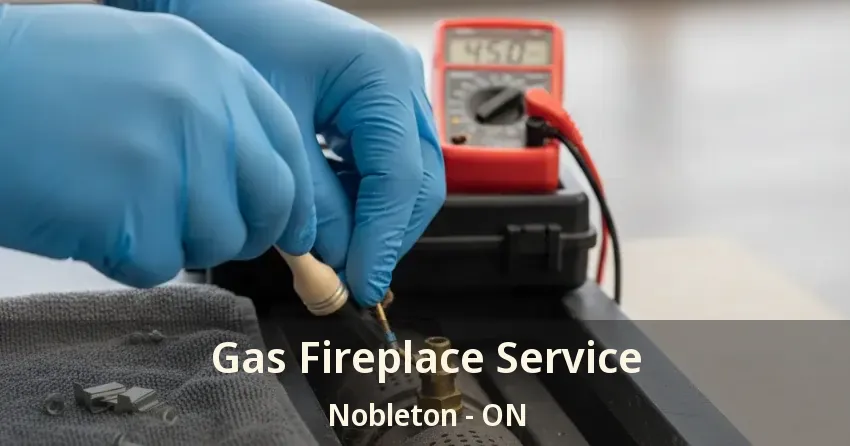 Gas Fireplace Service Nobleton - ON