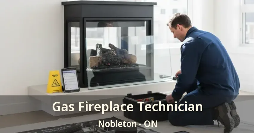 Gas Fireplace Technician Nobleton - ON