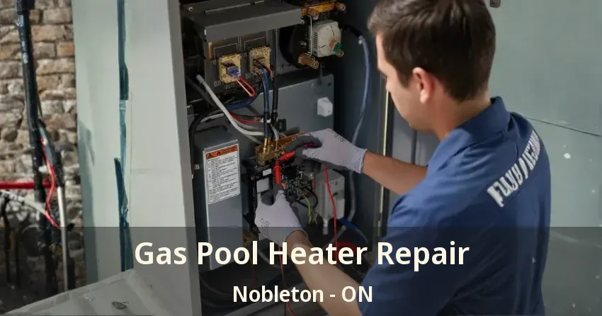 Gas Pool Heater Repair Nobleton - ON