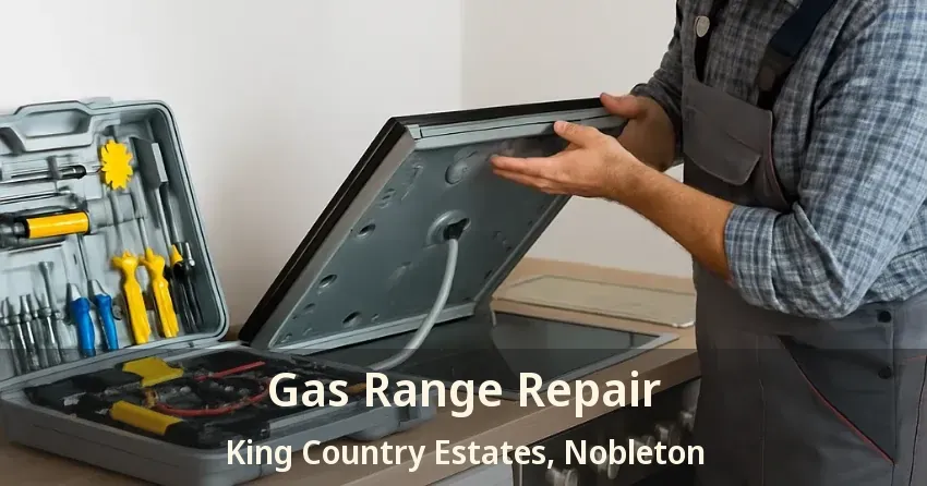Gas Range Repair King Country Estates, Nobleton - ON