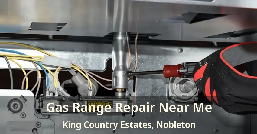 Gas Range Repair Near Me King Country Estates, Nobleton - ON