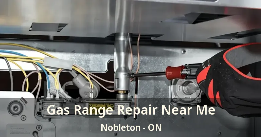 Gas Range Repair Near Me Nobleton - ON
